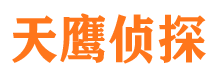 江南侦探公司